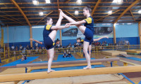 Ginastica artística