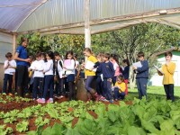 Estudo sobre hortas leva alunos ao IMEAB