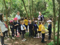 Pré 1 - Trilha da Vó Preta