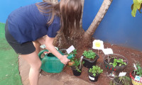 24.08.2021 - 4º ano cultivando sua horta