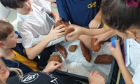 4º ano realiza pesquisa geológica