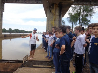 Caminhos de aprendizagens