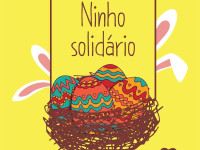 Ninho solidário