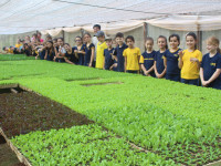 Família AKEMI do Viveiro Oba recebe alunos do CEAP