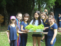 Encerramento do Projeto HORTA - 3ºano Ensino Fundamental