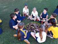 10.04.2019 - 2º ano EF - Elementos da natureza