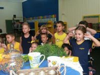 A Galinha Xadrez e a amizade