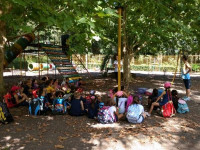 Estudos do 2º ano à sombra do plátano