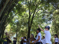 Explorando a Trilha do Campo