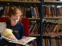 20.03.2020 - CEAP mantém atividades on-line