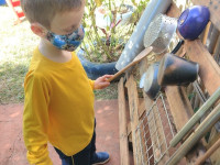 10.09.2021 - CEAPzinho - Olhares investigativos