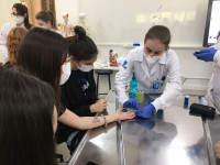 28.03.2022 - Projeto Profissões - BIOMEDICINA