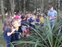 Provando os sabores do Campo