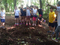 Estudando os diferentes tipos de solo