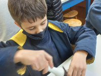 4º ano do EF - Extração de pigmentos vegetais