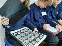 9º ano EF - Julgamento simulado