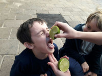 Explorando os cinco sentidos