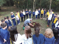 Campo do CEAP ganha macieira e erva-mate 