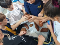 4º ano realiza pesquisa geológica