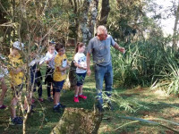 Como as plantas se reproduzem?
