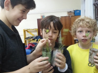 Experiência com germinadores no 4º ano