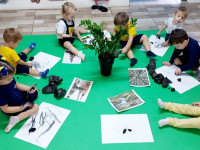 Maternal 1 - em contexto de exploração