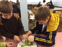 As plantas nossas de cada dia