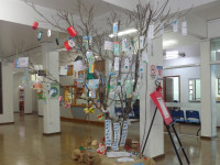 Árvore chama atenção para questão ambiental