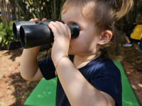 Curiosa Natureza com o CEAPzinho
