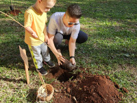 CEAPzinho - Curiosa Natureza 2025