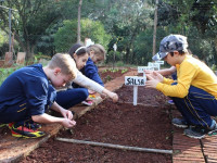 A horta dos alunos