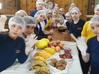 Alimentação e Digestão na pauta do 4º ano