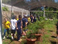 Conhecendo as atividades do campo