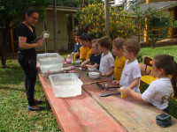 Exploração sensorial da água N3